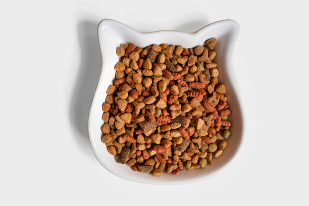 Dry Cat Food