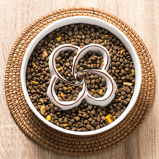White bowl filled with pet food on a woven placemat