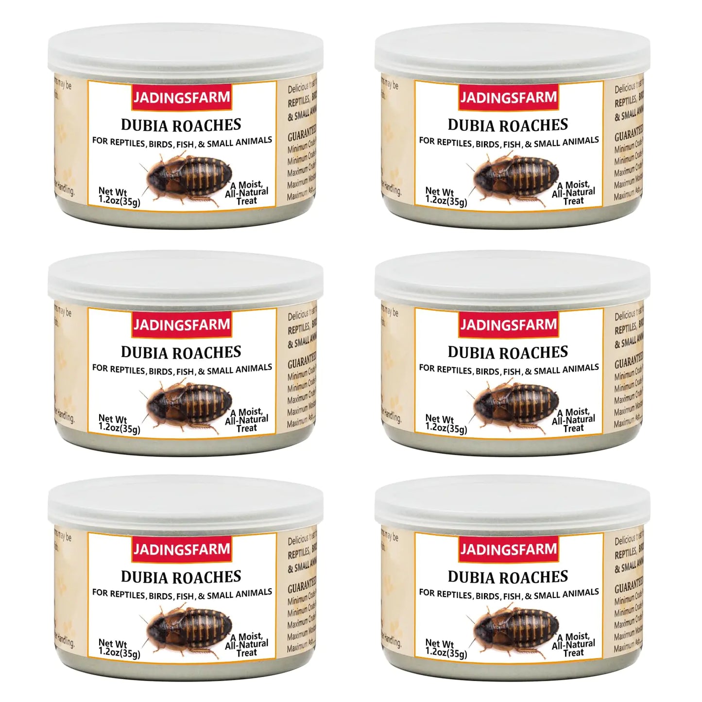JADINGSFARM 6 Pack Canned Dubia Roaches for Reptiles Fish Birds and Small Animals Dubia Roaches Healthy High Protein Treat Reptile Bird Fish Food 7.2 Ounces Total