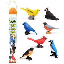 Bird Accessories