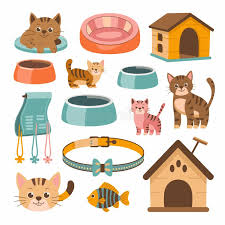 Cat Accessories