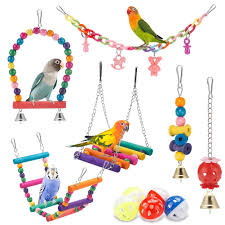 Bird Toys