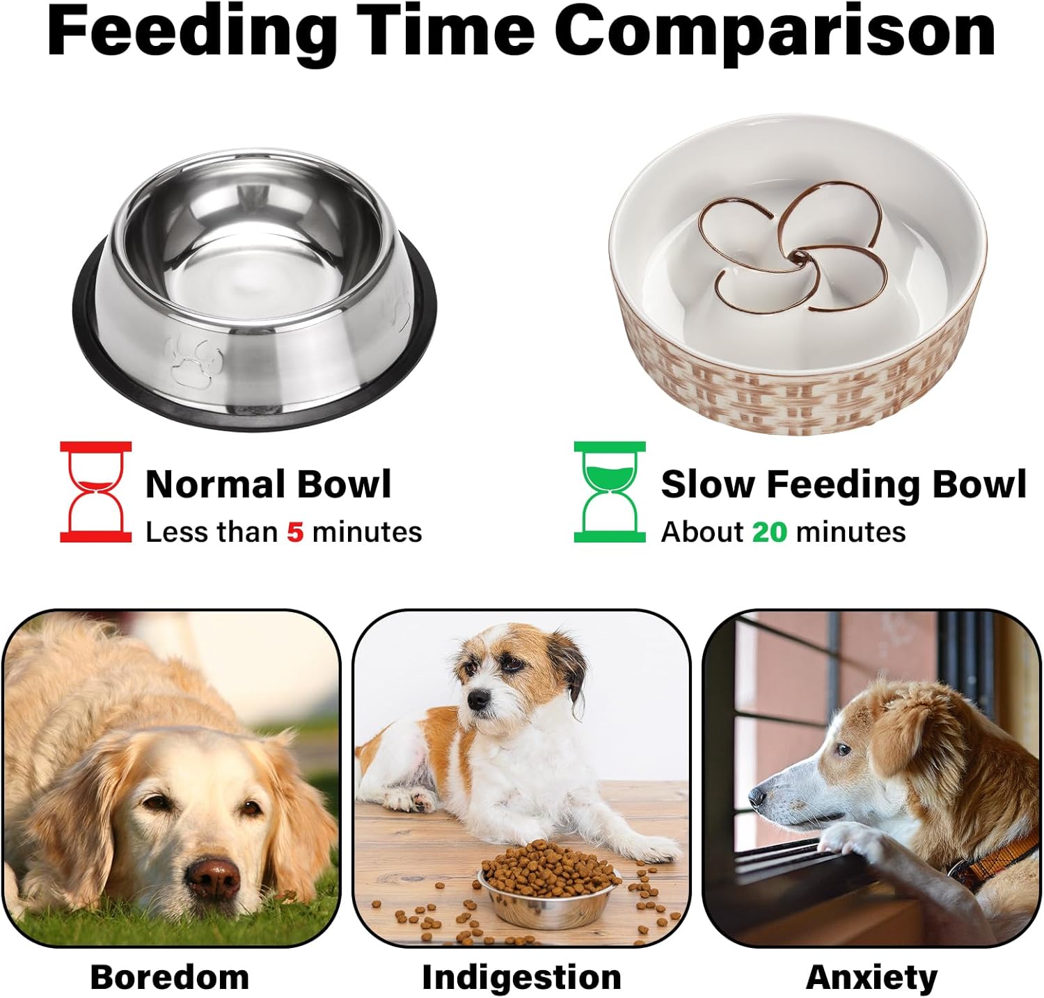 Comparison of normal and slow feeding bowls with images of dogs and text indicating their issues.