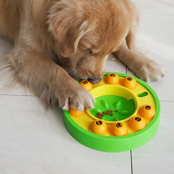 Dog interacting with a green and yellow puzzle toy on a light wooden floor.