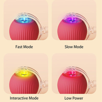 Four modes of a pet toy with different colored lights on a beige background