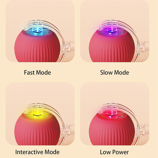 Four modes of a pet toy with different colored lights on a beige background