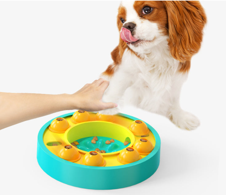 Dog playing with a colorful puzzle toy on a white background