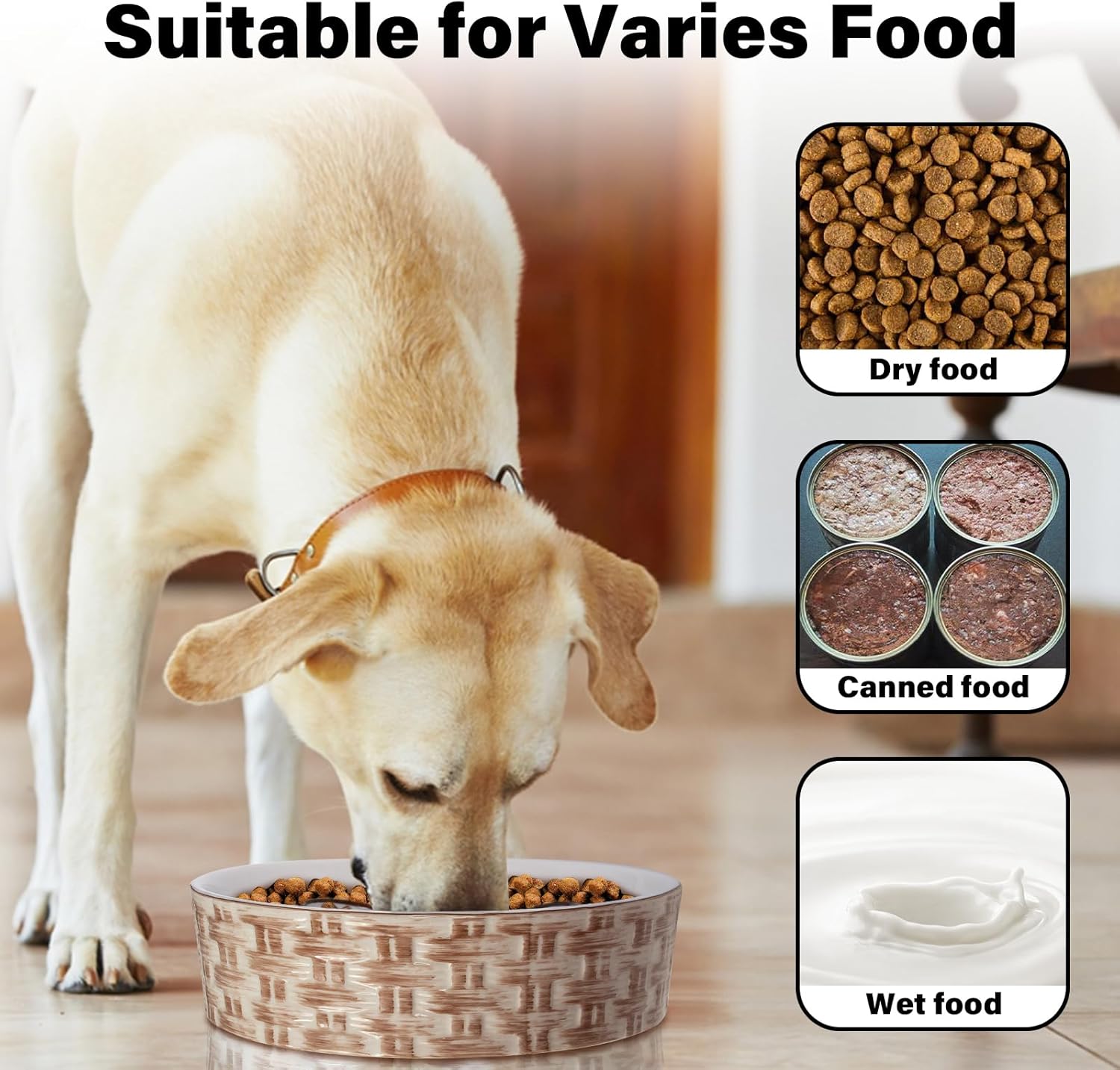 Dog eating from a bowl with images of dry, canned, and wet food types.