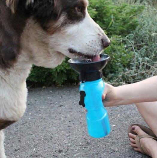 Dog drinking from a blue portable water bottle held by a person outdoors.