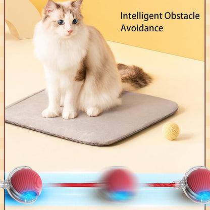 Cat sitting on a heating pad with text 'Intelligent Obstacle Avoidance' and a ball rolling towards it.