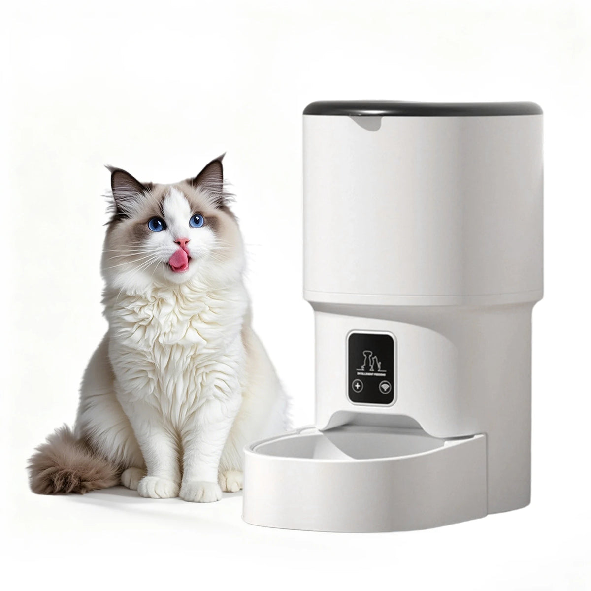 Programmable 4L Automatic Pet Feeder for Small Dogs & Cats - Timer and Portion Control, Up to 6 Meals a Day