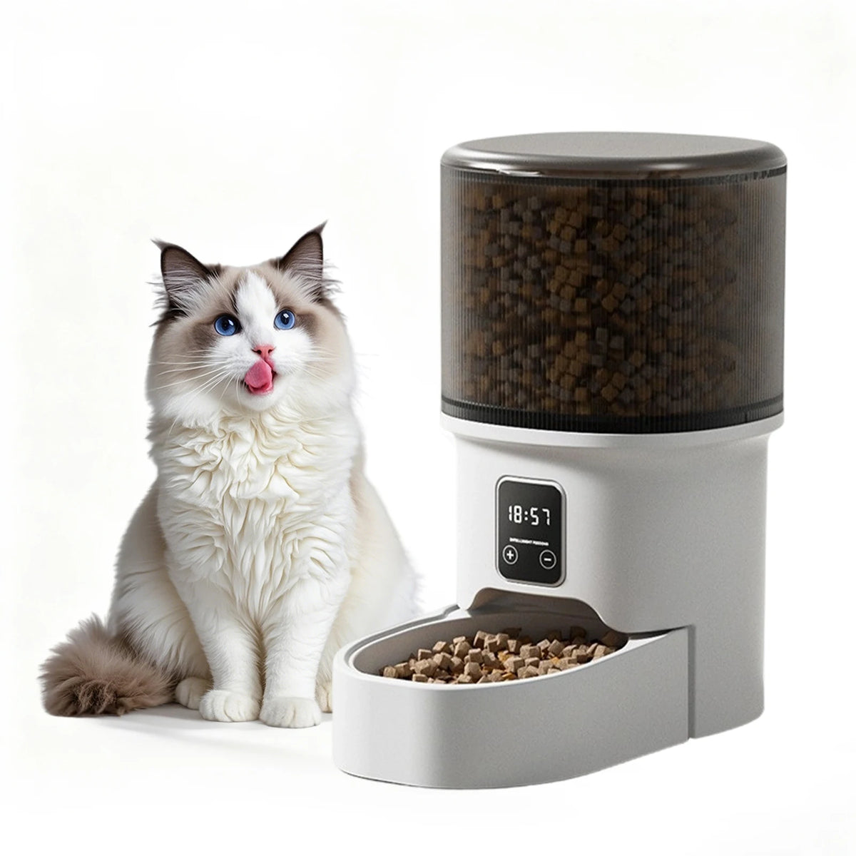 Programmable 4L Automatic Pet Feeder for Small Dogs & Cats - Timer and Portion Control, Up to 6 Meals a Day