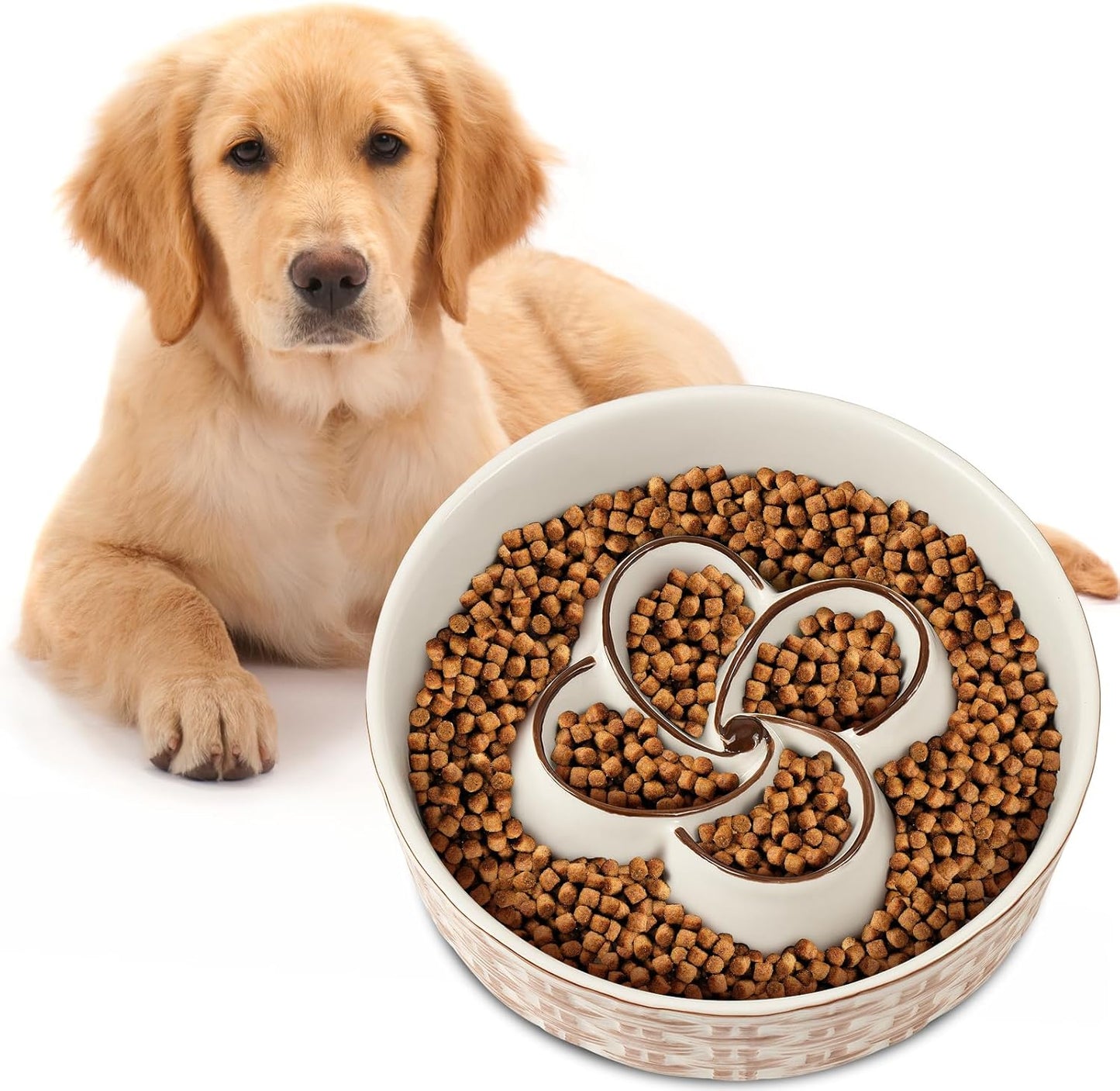 Dog with a bowl of dog food on a white background