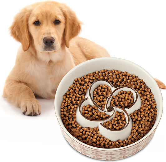 Dog with a bowl of dog food on a white background
