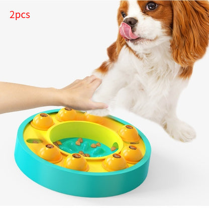Dog playing with a colorful puzzle toy on a white background