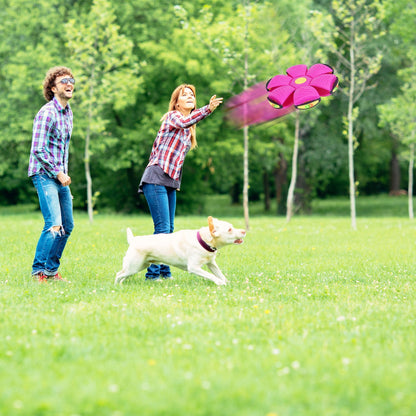 4 Pack Flying Saucer Ball Electric Colorful Flying Toy UFO Ball With LED Lights For Pet Children Outdoor Toy