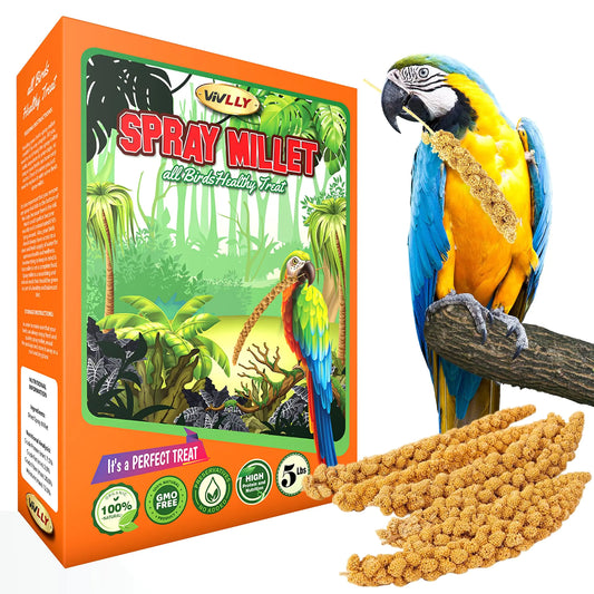 5 lbs of GMO-Free Sun-Dried Spray Millet - Natural Bird Treat for Parakeets Cockatiels Finches and More - Non-GMO Rich in Amino Acids Convenient Storage Delicious & Healthy Bird Snacks (5 lbs)