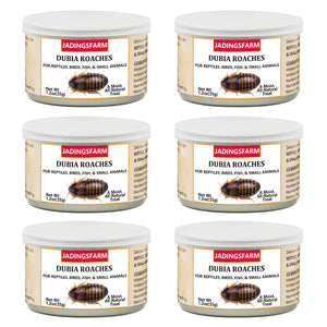 JADINGSFARM 6 Pack Canned Dubia Roaches for Reptiles Fish Birds and Small Animals Dubia Roaches Healthy High Protein Treat Reptile Bird Fish Food 7.2 Ounces Total